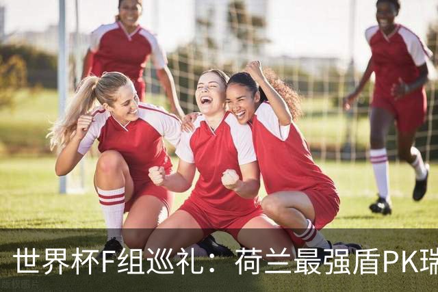 世界杯F组巡礼：荷兰最强盾PK瑞典犀利刀 日本短板明显